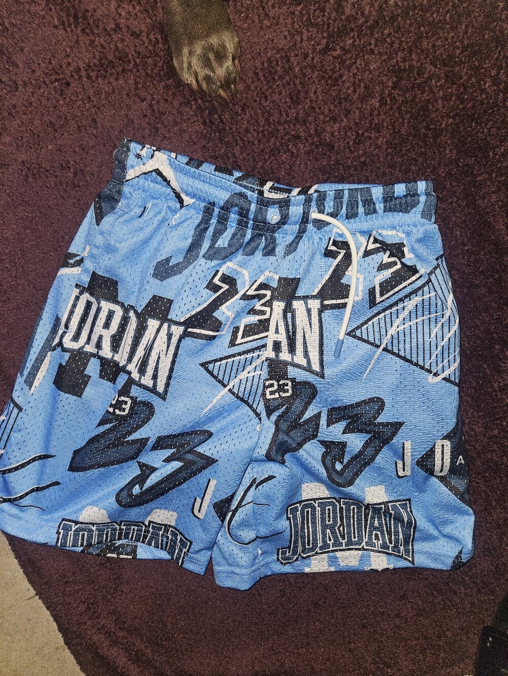 Jordan Light Blue Graphic Mesh Athletic Shorts with Black Accents